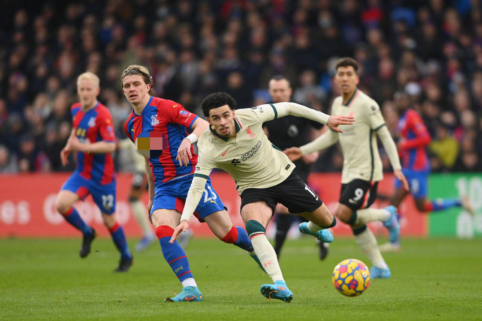 坚持换来了 坚持换来了